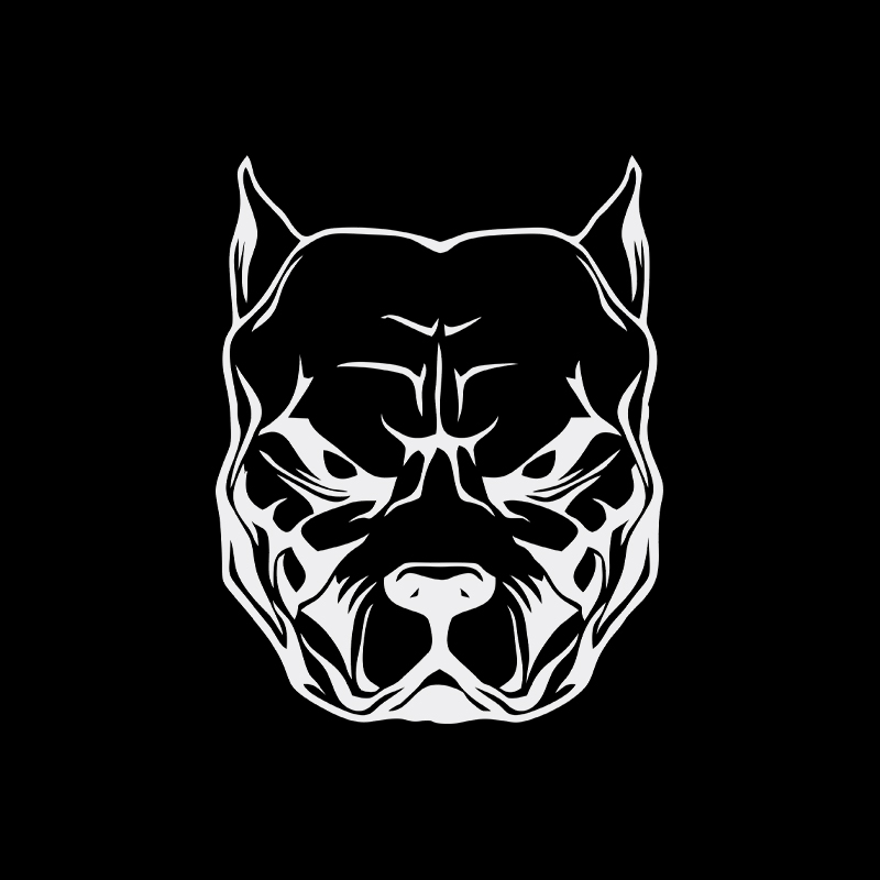 ملصق بنمط كلب للدراجات النارية - مراجعة Motorcycle Gear For Dogs وسعره