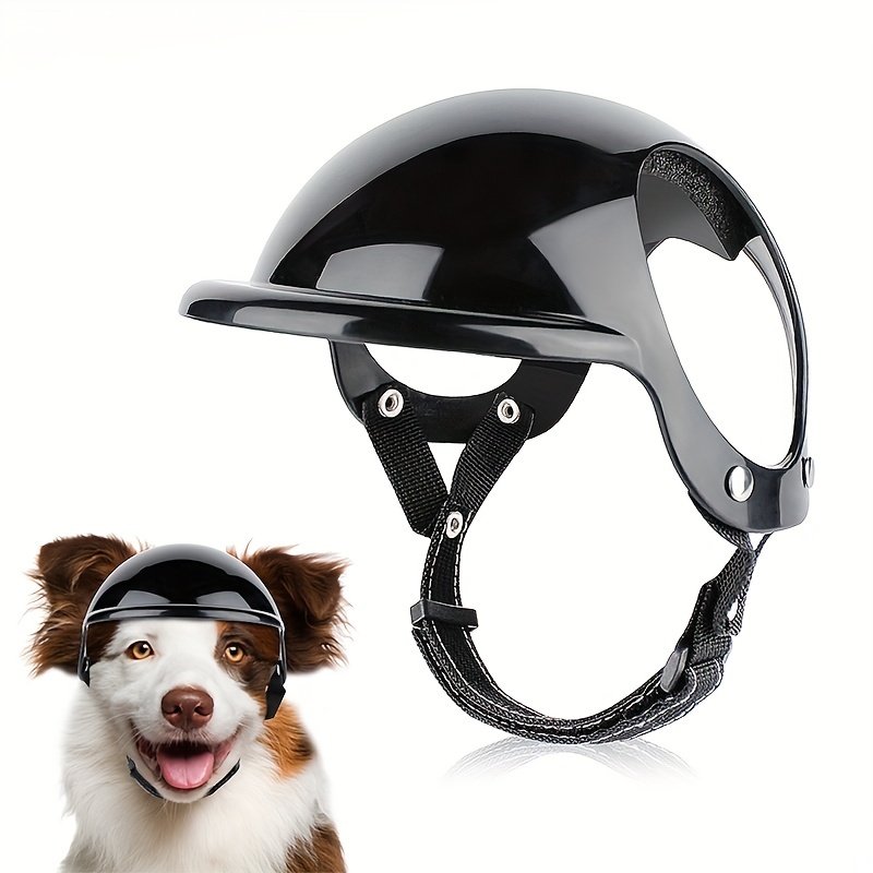 خوذة للحيوانات الأليفة للدراجا - مراجعة Motorcycle Gear For Dogs وسعره