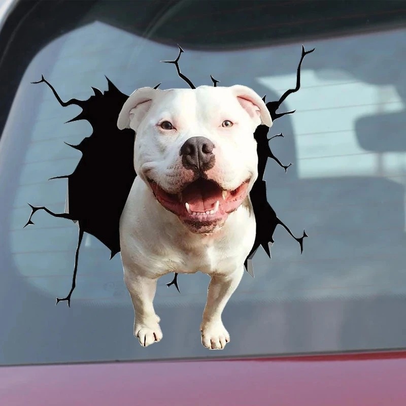ملصق كلب فرنسي بولدوغ مقاوم لل - مراجعة Motorcycle Gear For Dogs وسعره